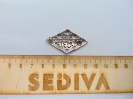 Brosa din argint cu marcasite